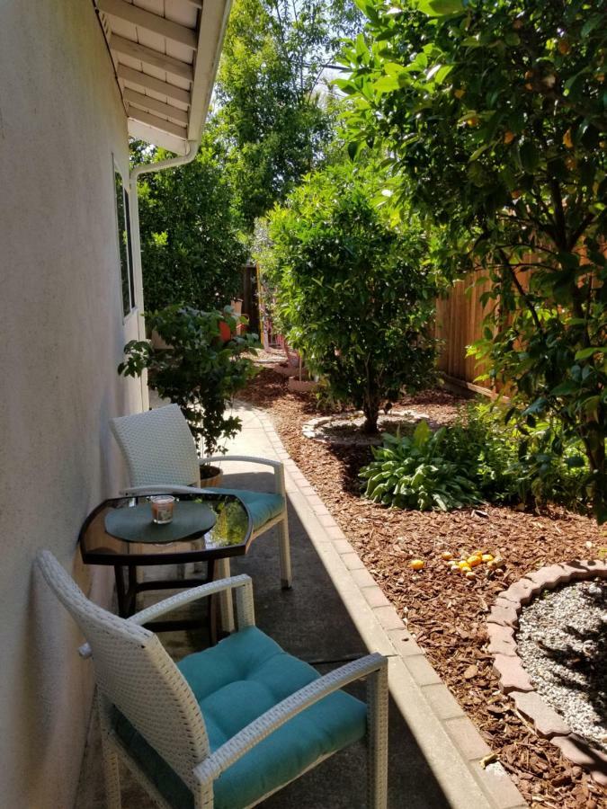 Willa Luxury 2Br/1Ba Oasis In San Jose Ca Zewnętrze zdjęcie